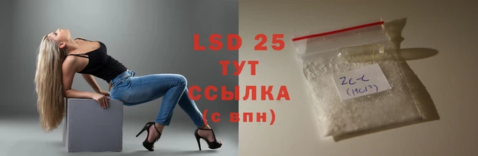 гидропоника Алзамай