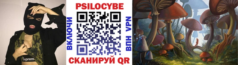 blacksprut Сунжа Псилоцибиновые грибы ЛСД
